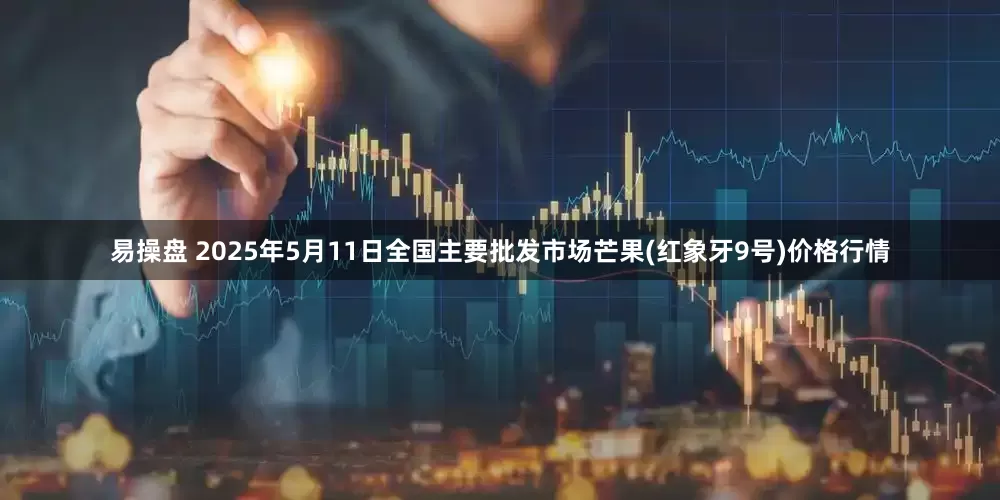 易操盘 2025年5月11日全国主要批发市场芒果(红象牙9号)价格行情