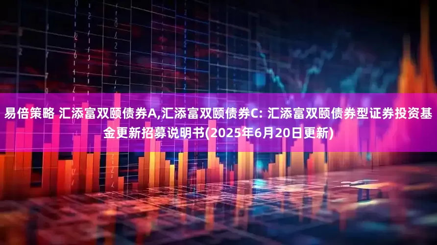 易倍策略 汇添富双颐债券A,汇添富双颐债券C: 汇添富双颐债券型证券投资基金更新招募说明书(2025年6月20日更新)